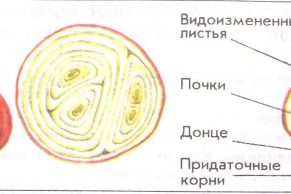 Сайт кракена в торе