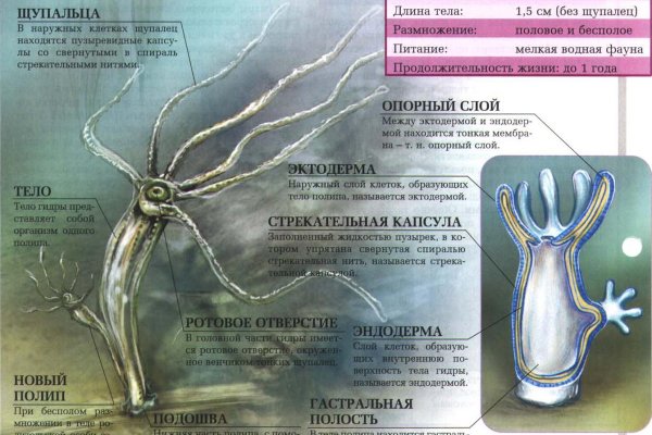 Кракен сайт даркнет зеркало
