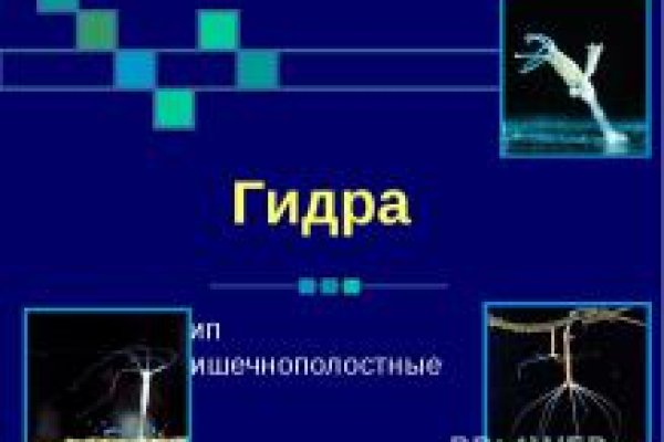 Что за приложение кракен